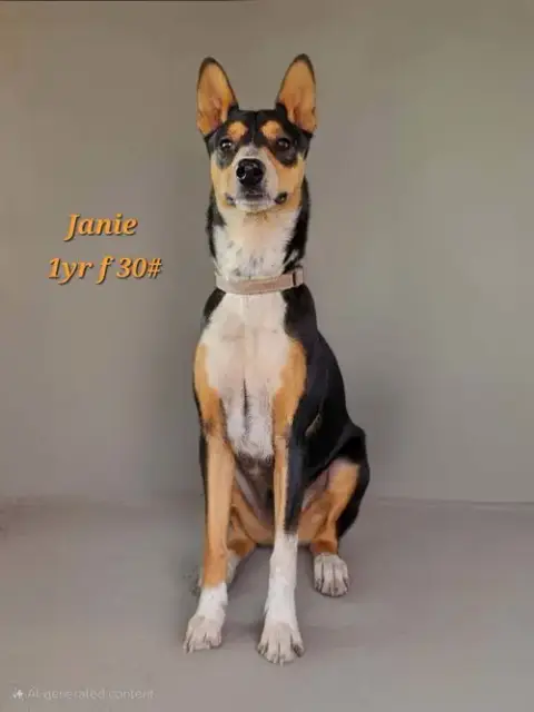 Janie photo 4
