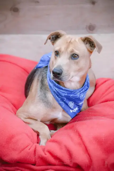 Penny Shep photo 2
