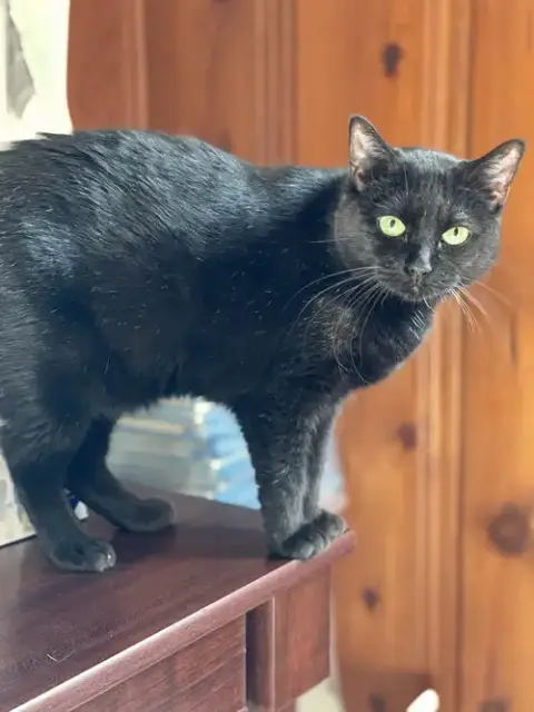 Sabrina photo 3