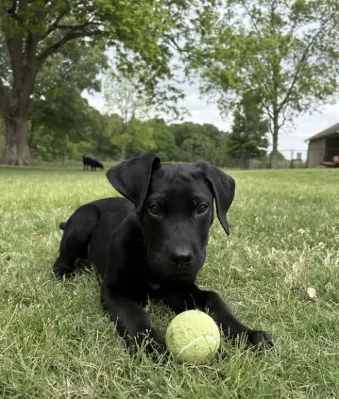 Tucker Man photo 4
