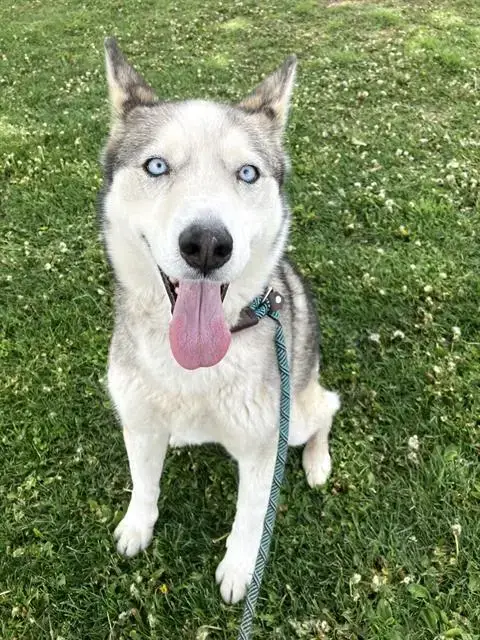 Skye