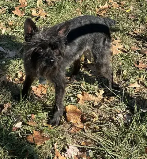 Pablo photo 4