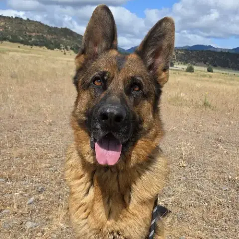 Conrad