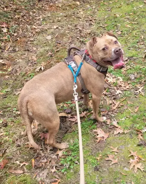 Frankie photo 2