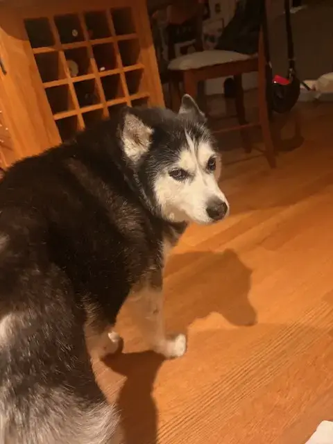 Mia