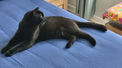 Ziggie