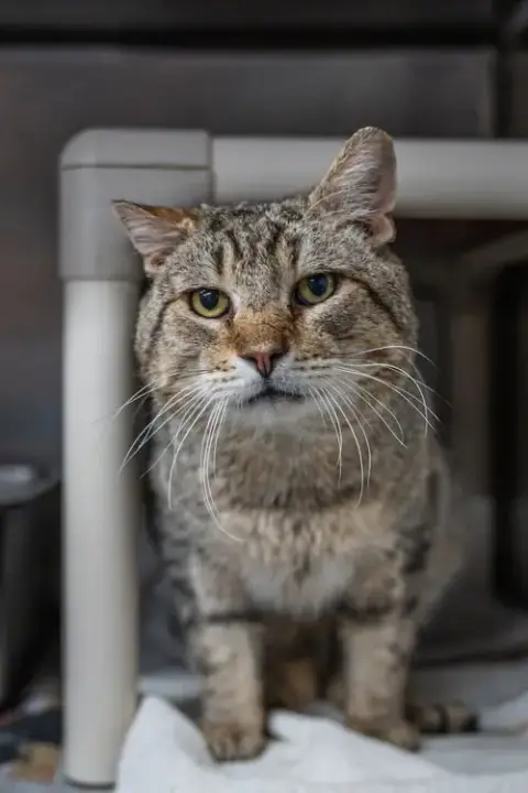 Walter photo 5