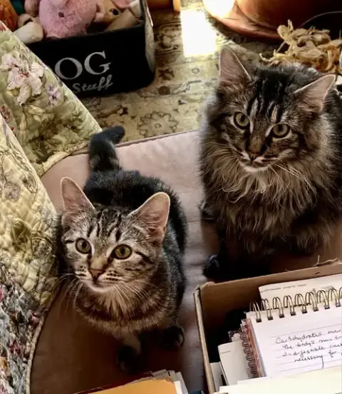 Charlie & Charlotte photo 3