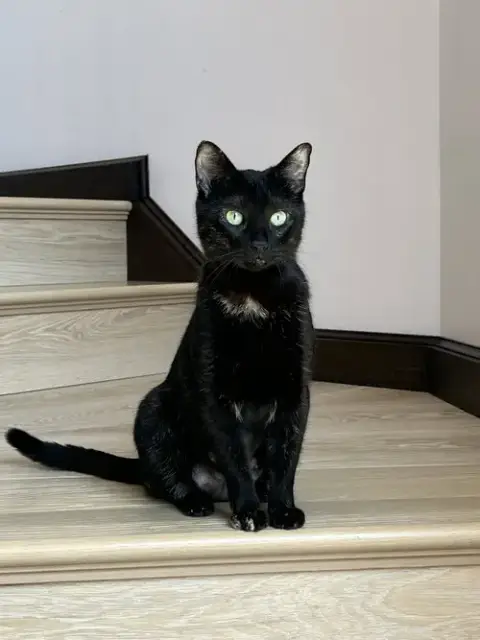 Mona