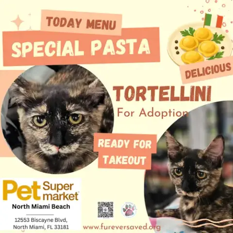 Tortellini