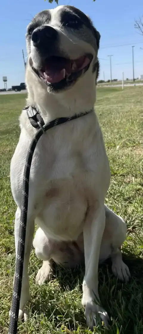 Darla photo 3