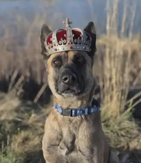 Arthur