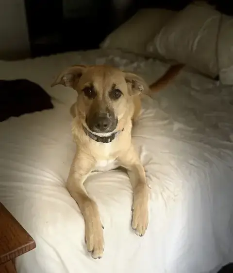 Lulu photo 2