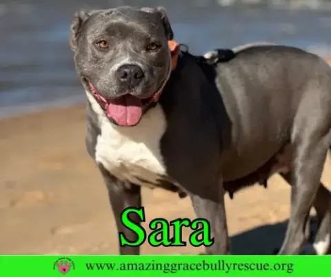 Sara photo 2