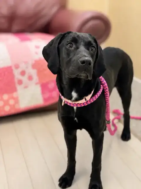 Edna