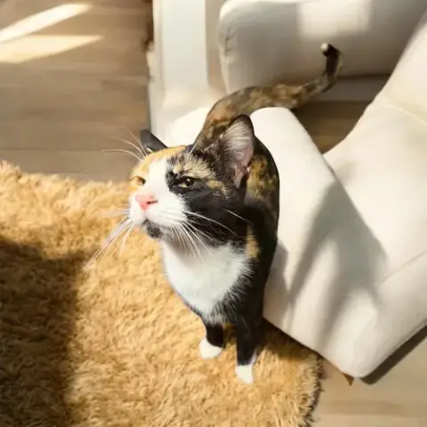 Thelma