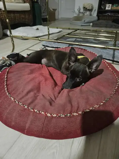 Penny Aka Precious photo 3
