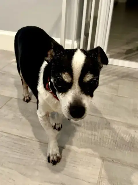 Charlie photo 2