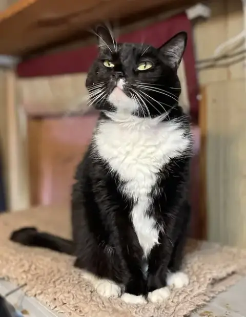 Tux