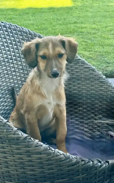 Nova photo 4