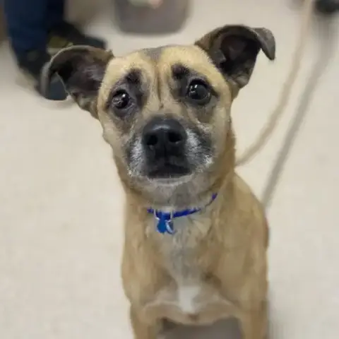 Lulu photo 2