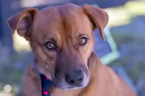 Spike photo 3