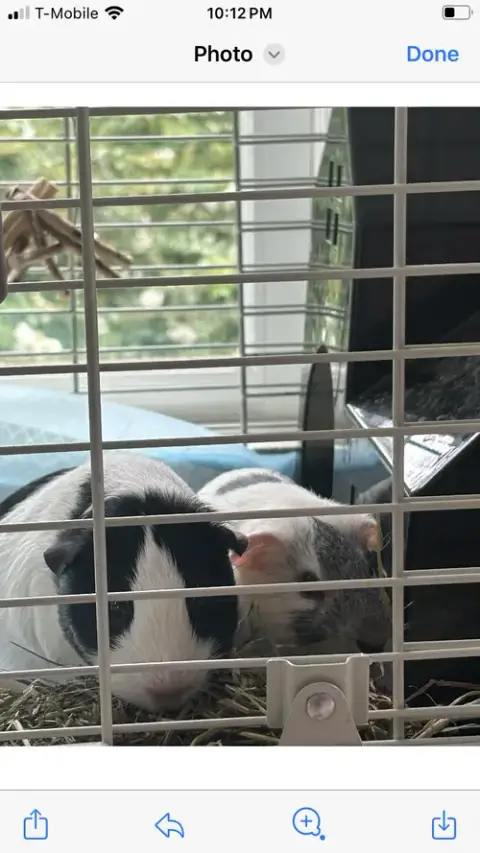 Gus And Frank