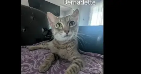 Bernadette photo 2