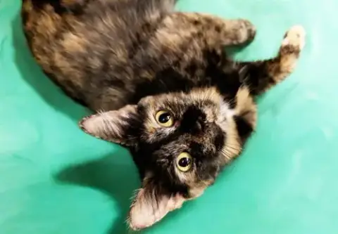 Esmeralda
