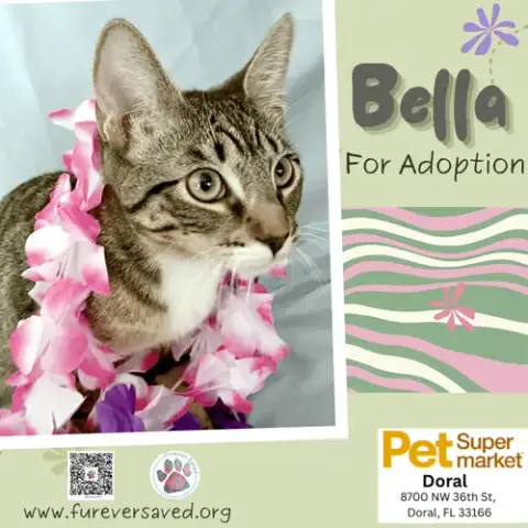 Bella photo 2