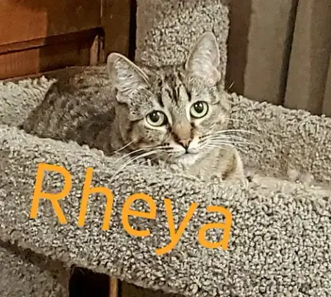 Rheya photo 3