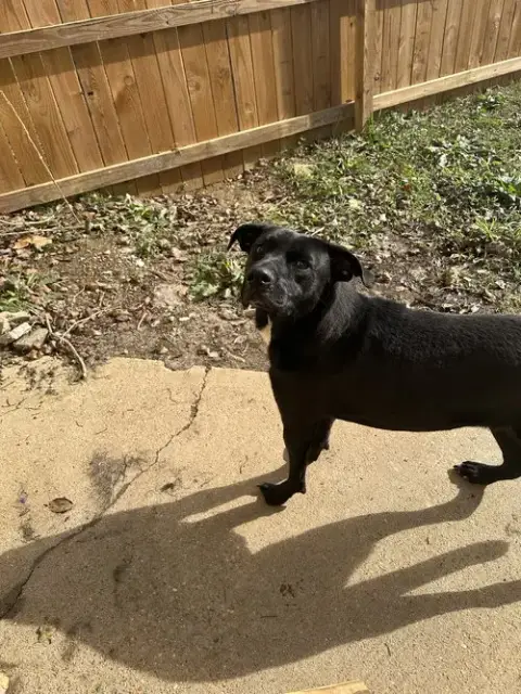 Olivia photo 2