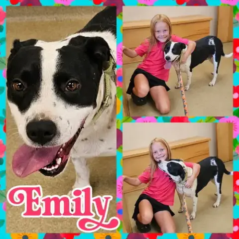 Emily photo 2
