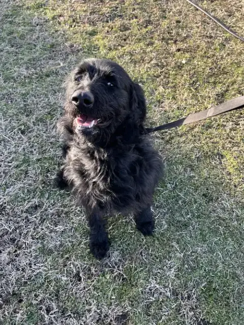 Milo