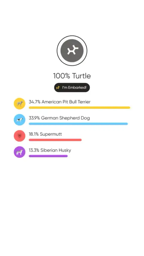 Turtle photo 5