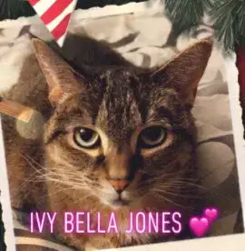 Ivy Bella Jones photo 4