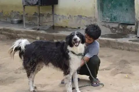 Mowgli photo 4