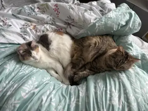 Ethel / Beverly