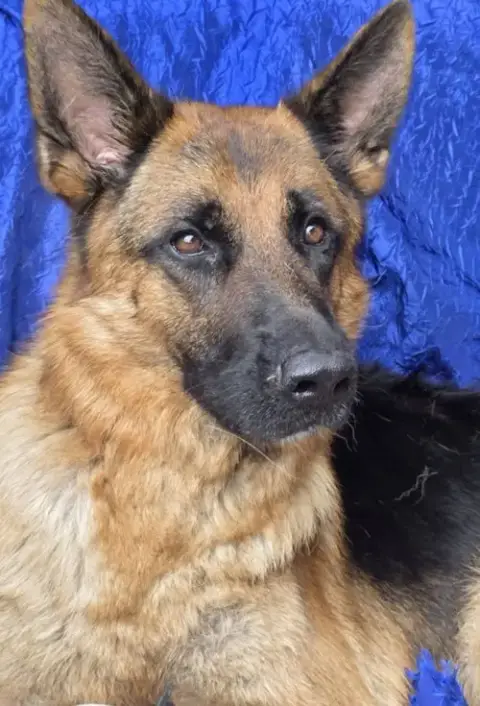 Zeus photo 2