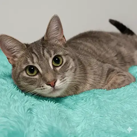Luna Lulu Adams