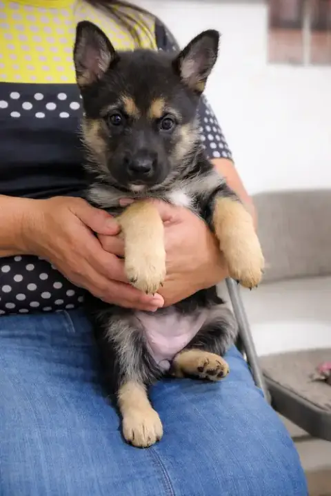 Chunky