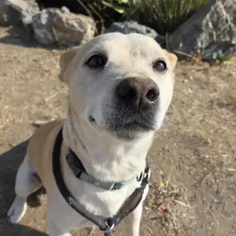 Buster photo 2