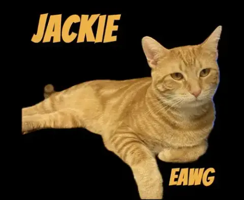 Jackie photo 2