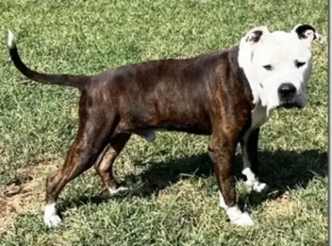 Benny*Crosspost* photo 3