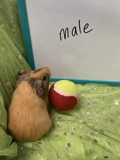 Edgar photo 4
