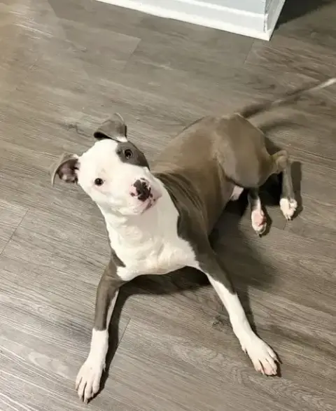 Zeus photo 2
