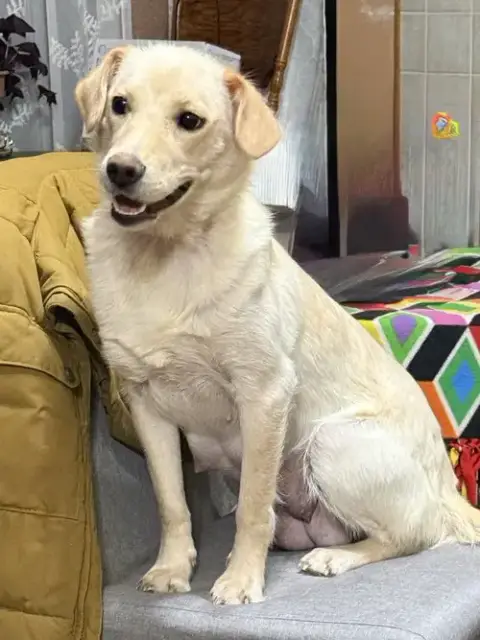 Luna photo 4