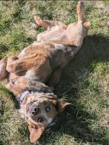 Rusty photo 3