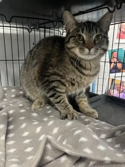 Sulu