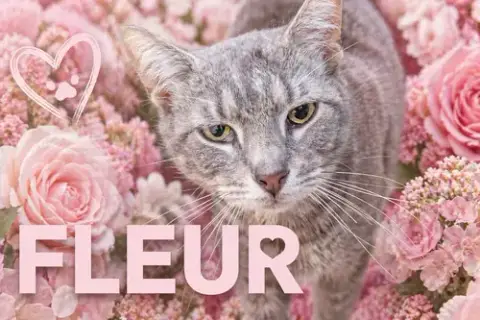 Fleur